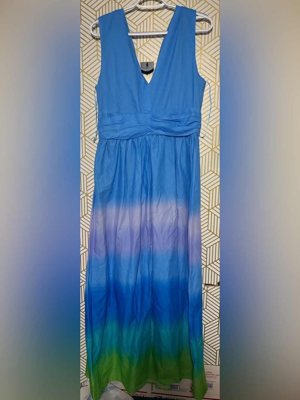 Taylor Blue to Purple Ombre Maxi dress Large